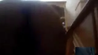 Chanel Preston šiška dyke seks filmi bg i tetoviranu goti kučku